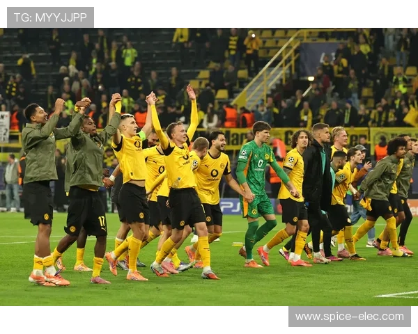 [德甲]第32轮：多特蒙德VS奥格斯堡.